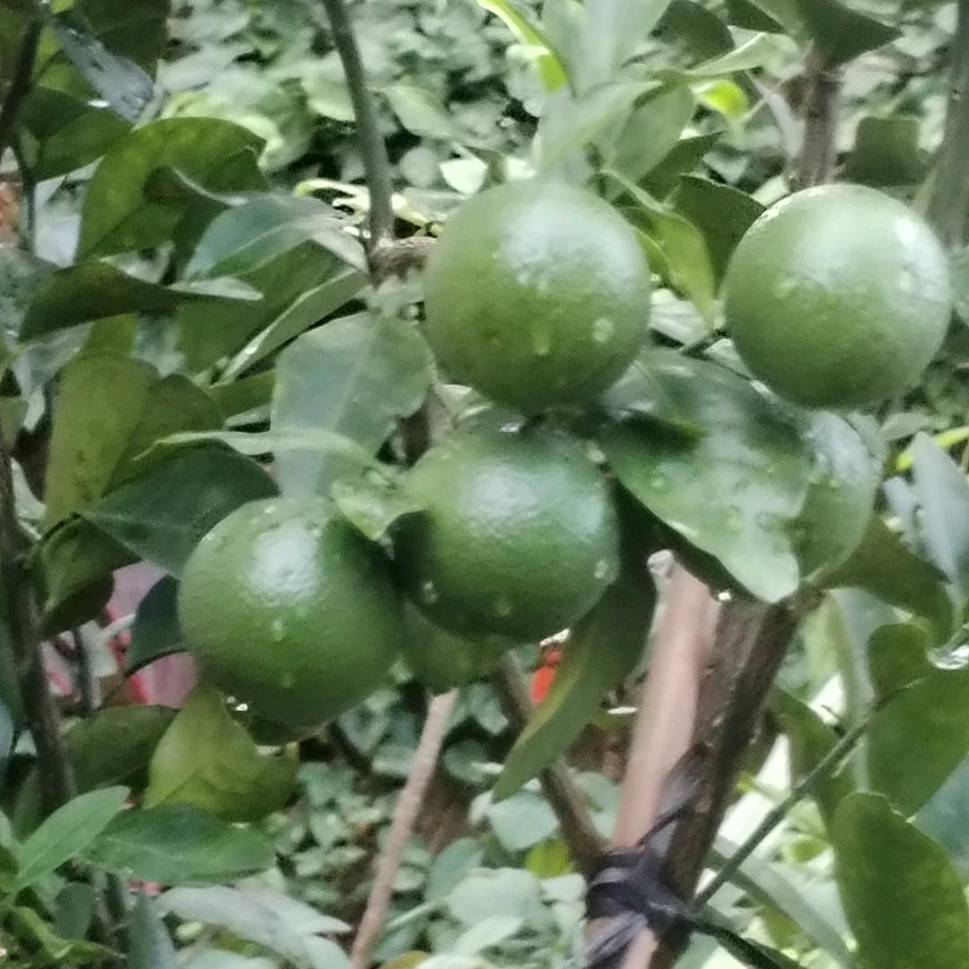 迷失的青春