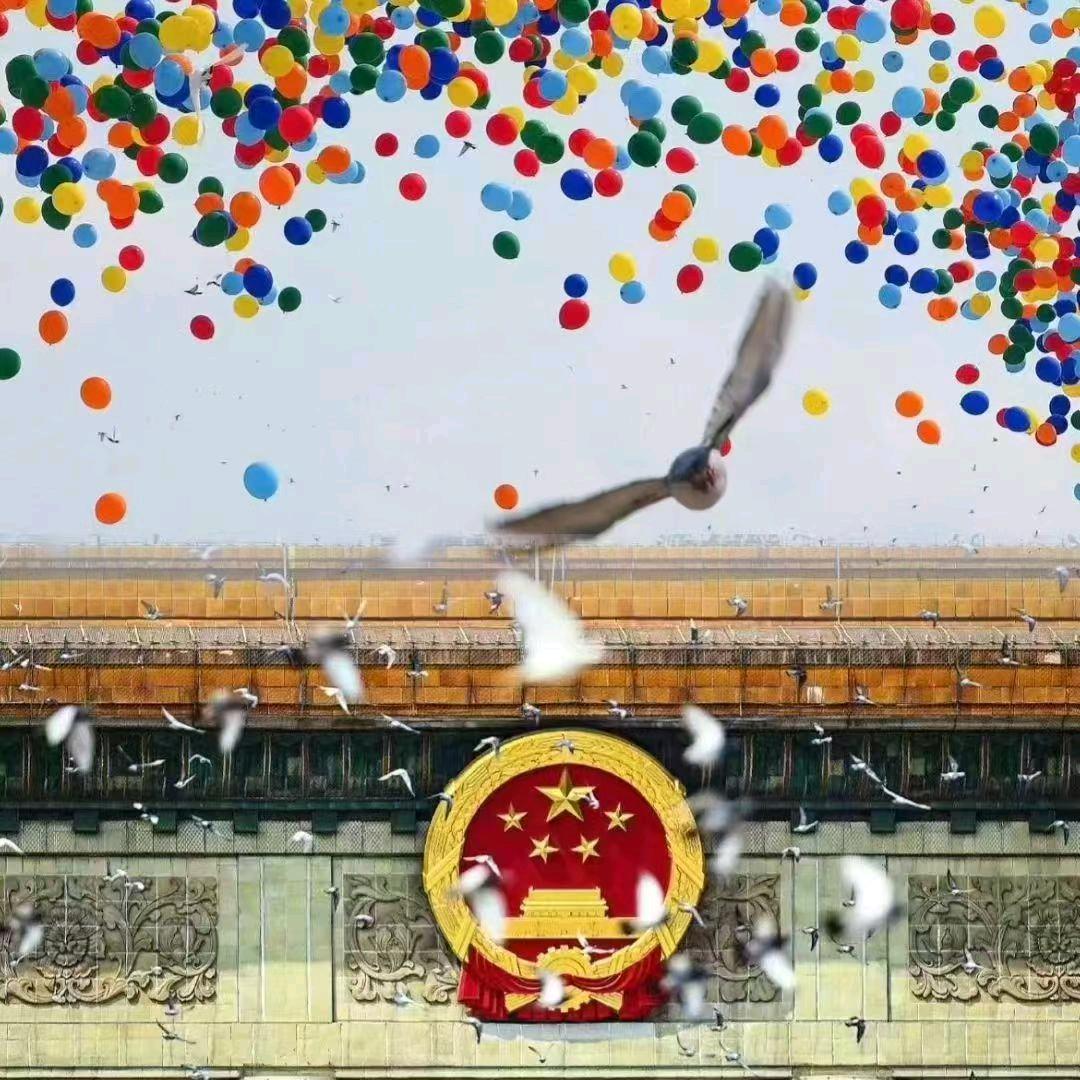 招财进宝苗
