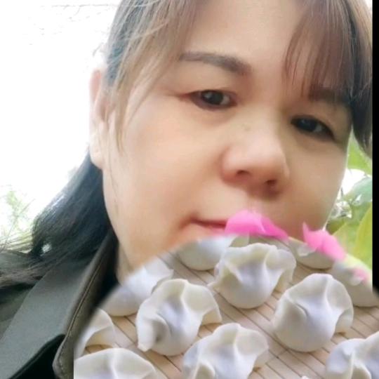 芬姐手工水饺