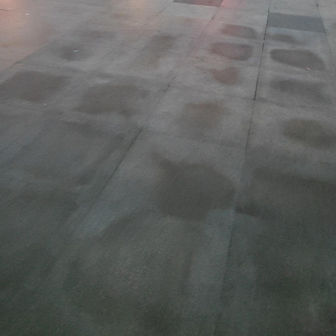 心如淡水