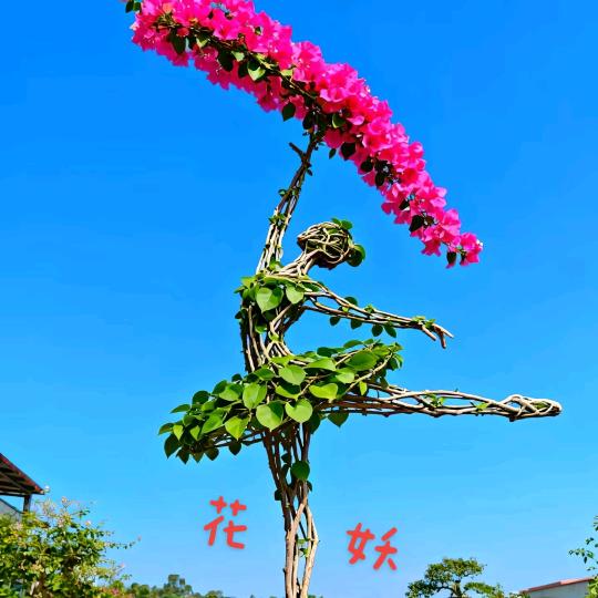 辉鸽🦜