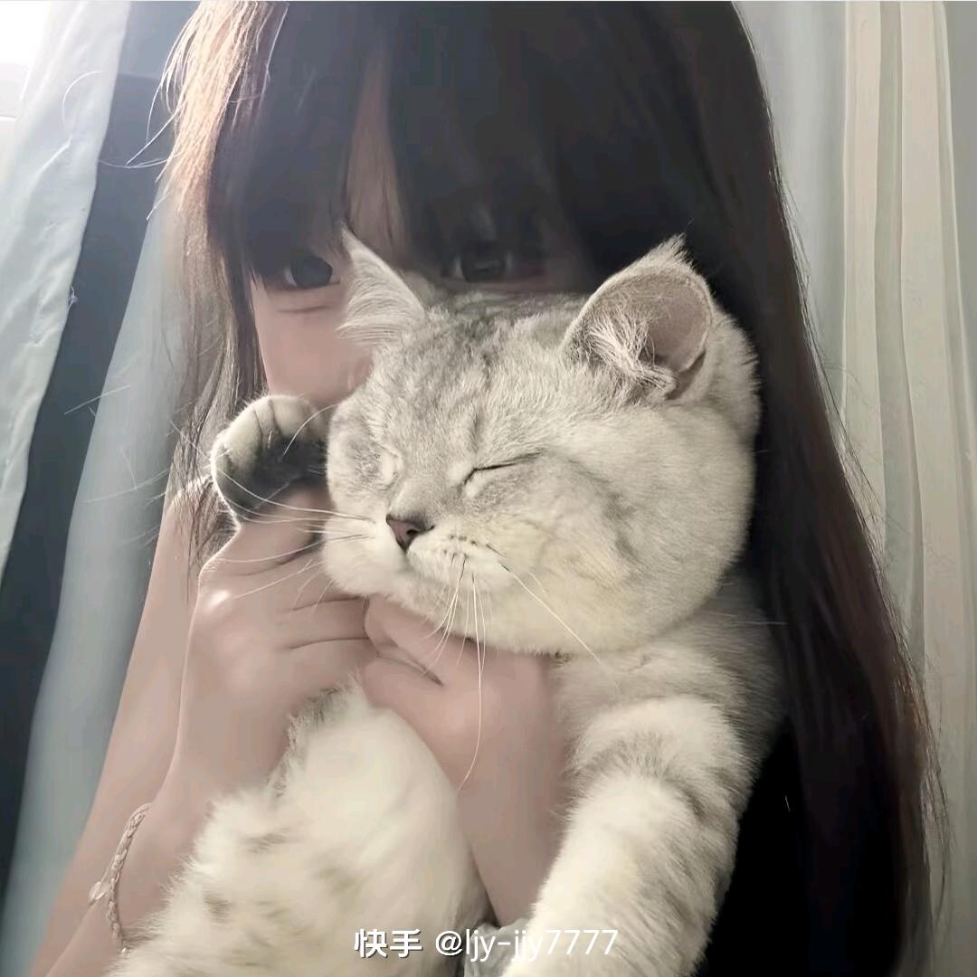 被猫🐱偷走的月亮