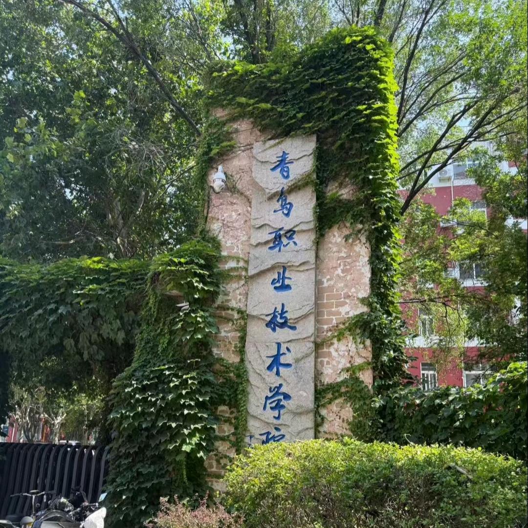 青职干饭学长（不挂科版）