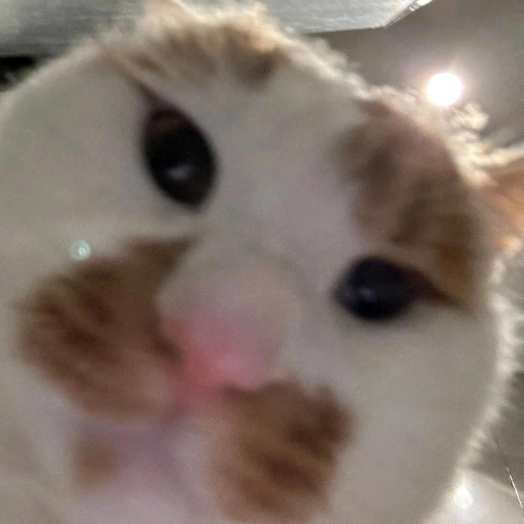 👨🏻‍🦳