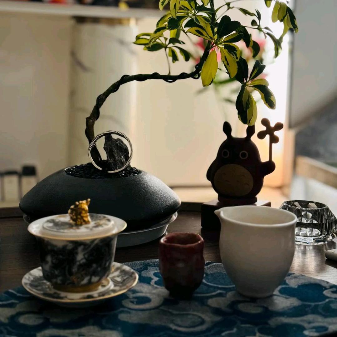 ✨范先生🌊