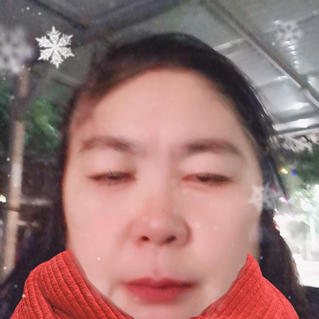 路凤清