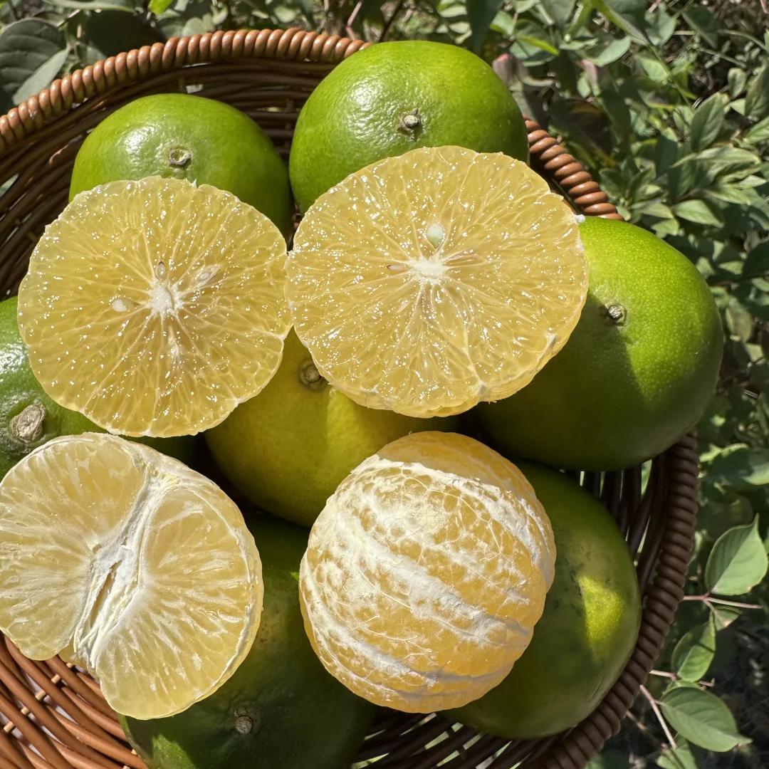 顺风生鲜速达
