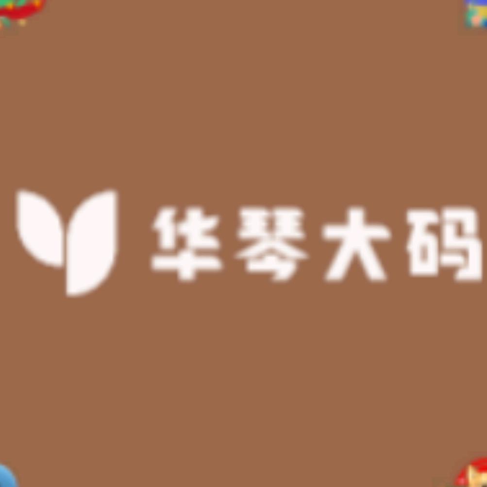 华琴大码女装2号