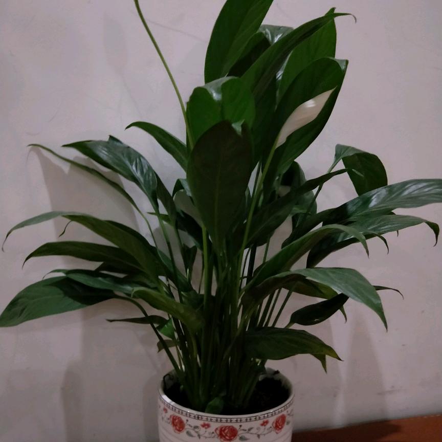 欣怡