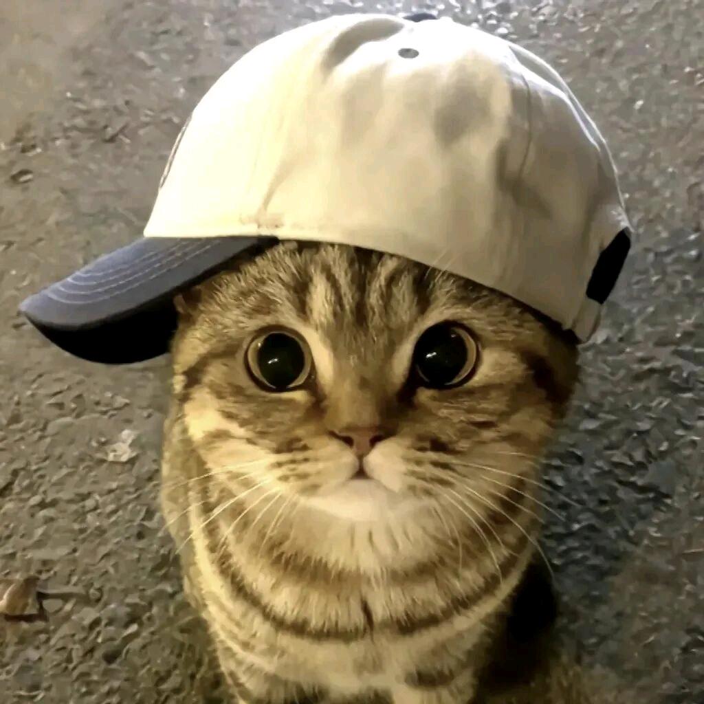 迷人的小妖精娟娟