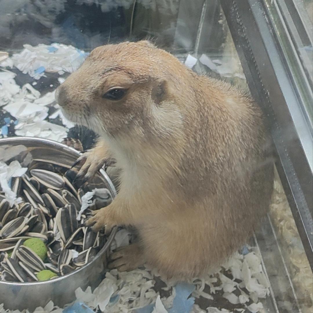 二百多斤