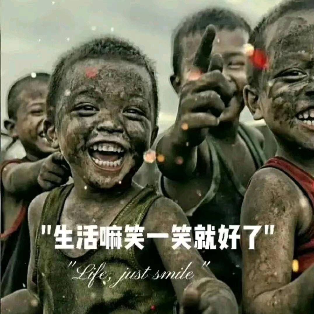 小马过河