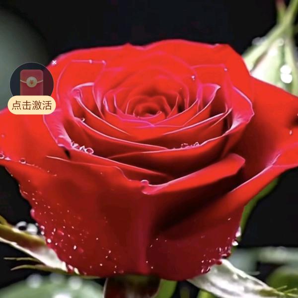 （博主）花开富贵追梦短剧XJ