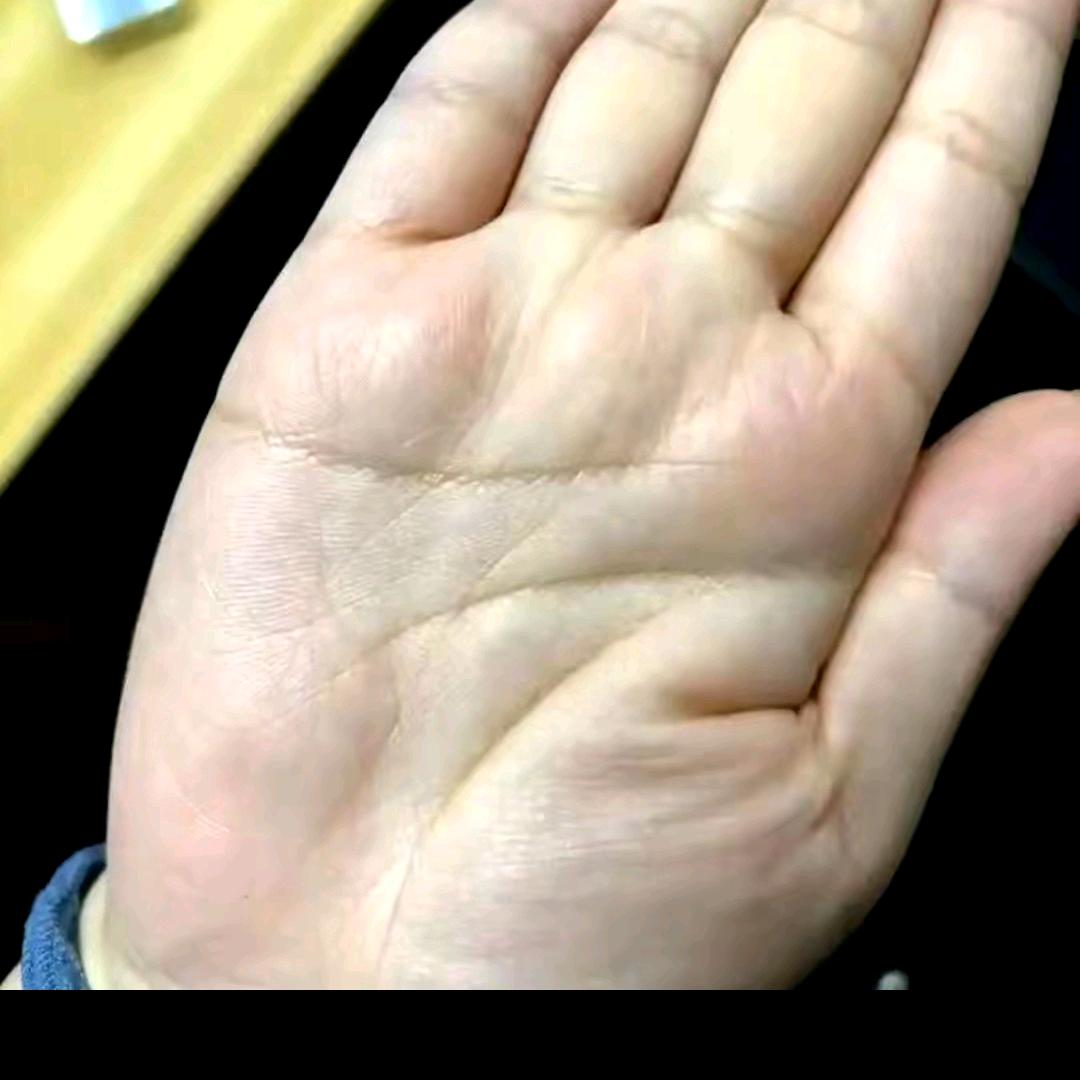 让我看看你的手✋相