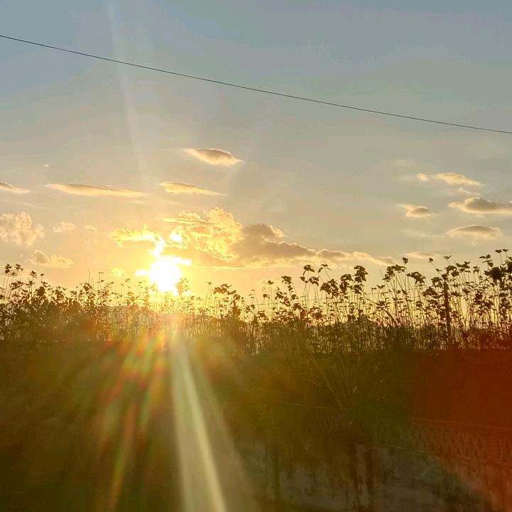 你就是个渣渣