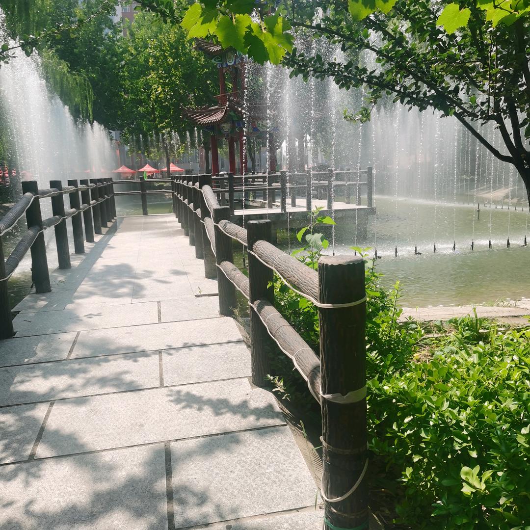 毛毛在线