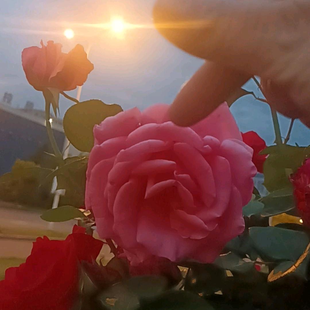 憨憨