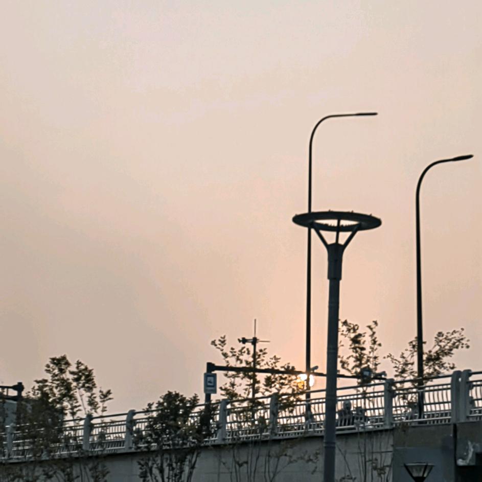 柠檬成精了