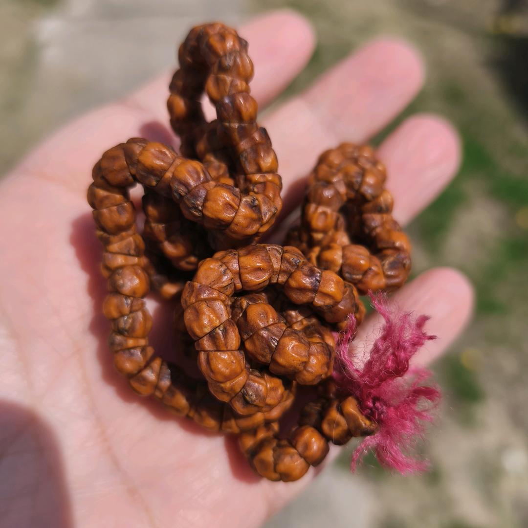🔥招财进宝