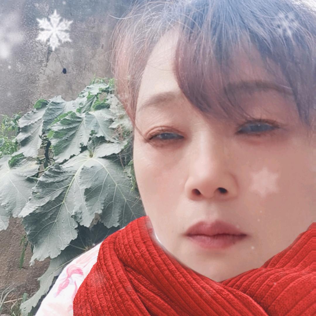 孤独的姐