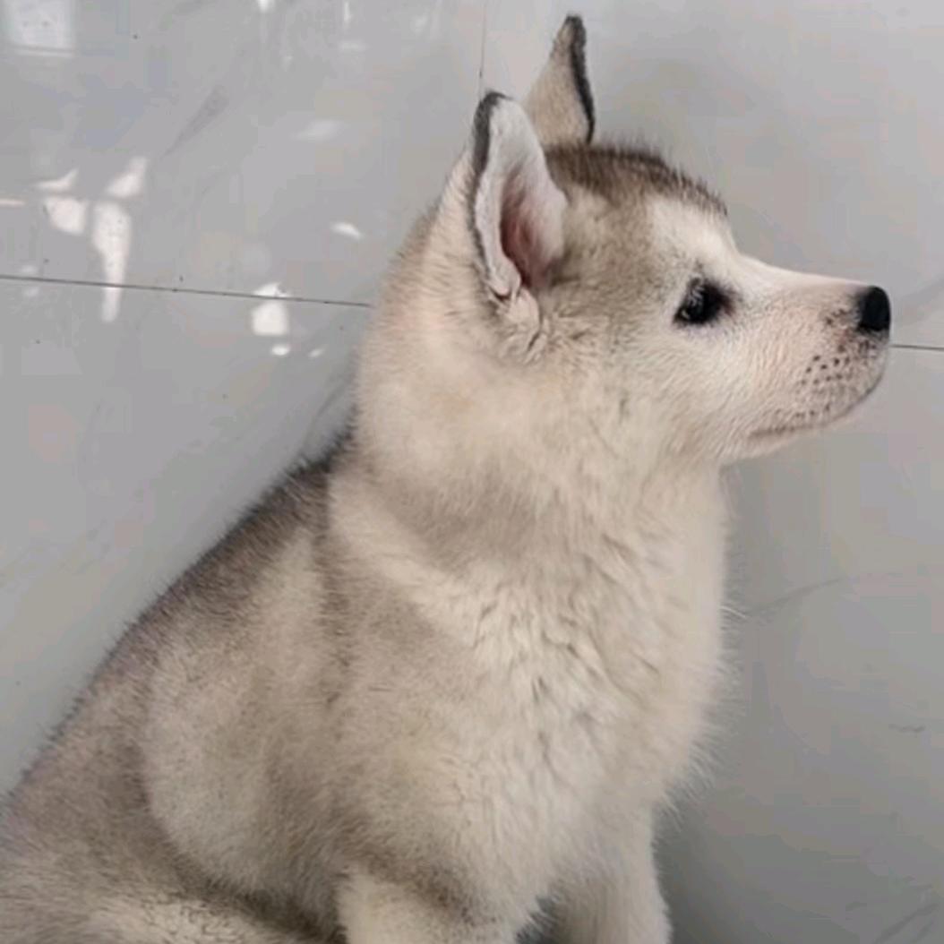 ❄小天使❄