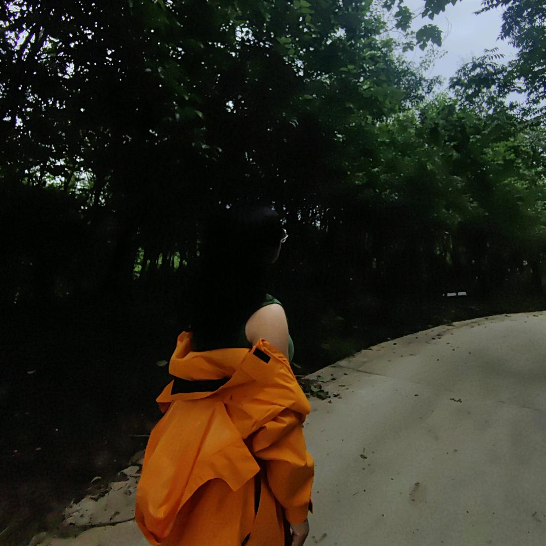 在路上(づ ●─● )づ