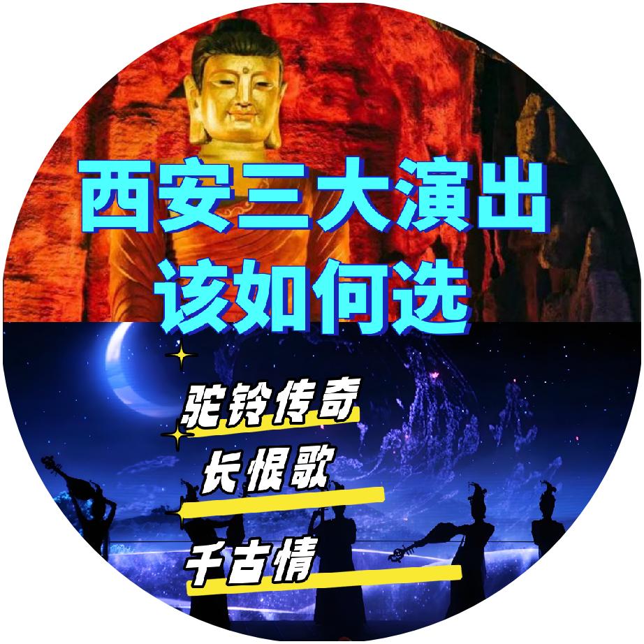 @省钱看演出