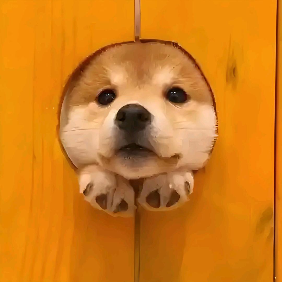 螺丝☞丁☜