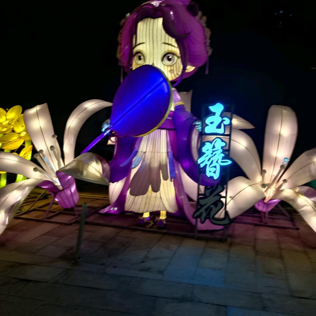 星星泪光