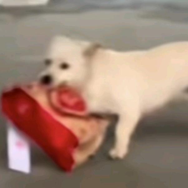 明月成圣