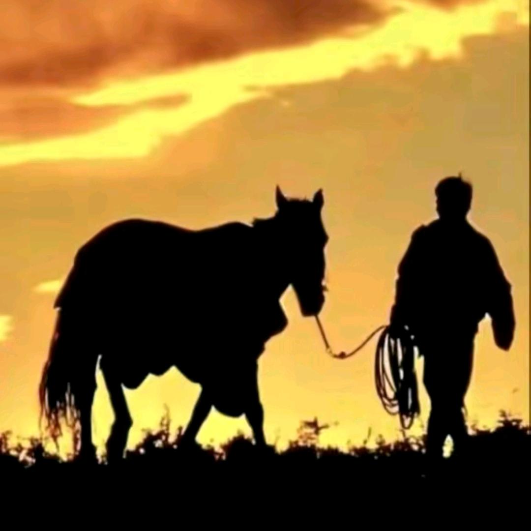 嘎........📸古扎