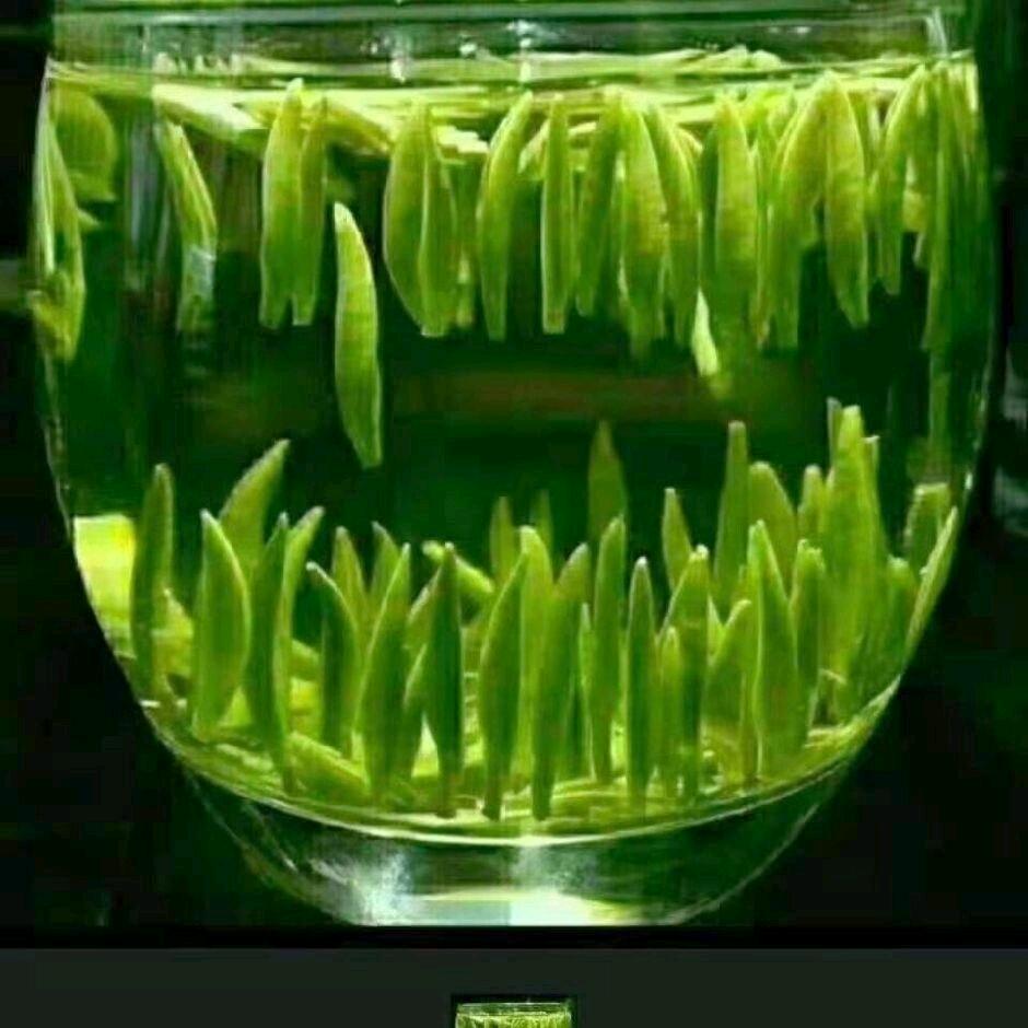 深爱不及久伴🧚🏿‍♂️