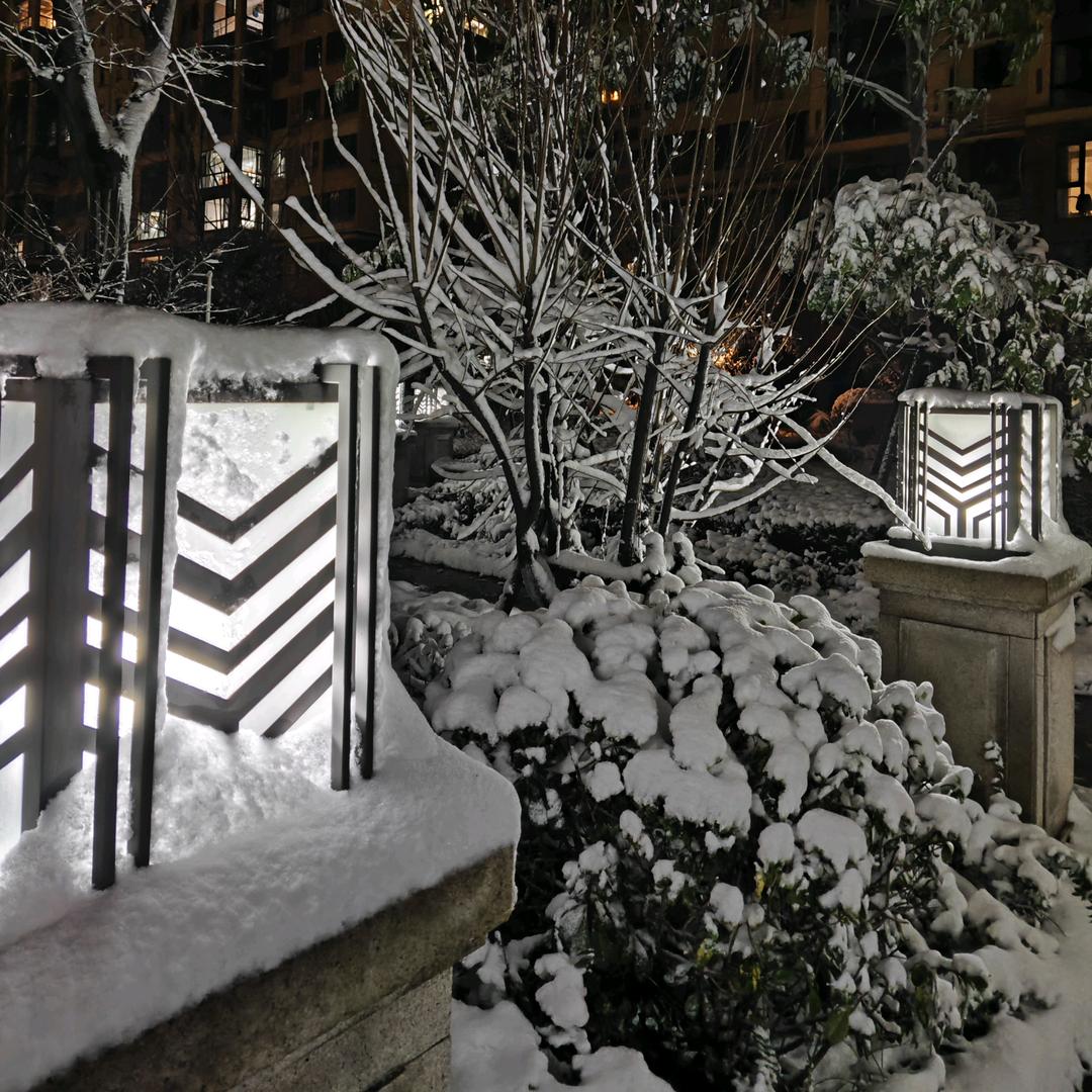 (๑•̌.•̑๑)ˀ̣ˀ̣