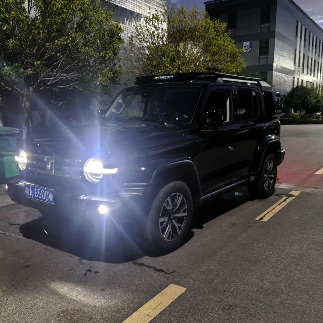 亮亮