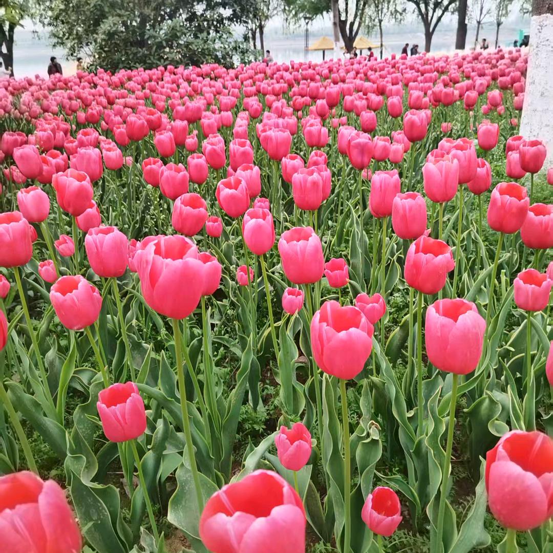 知足常乐。
