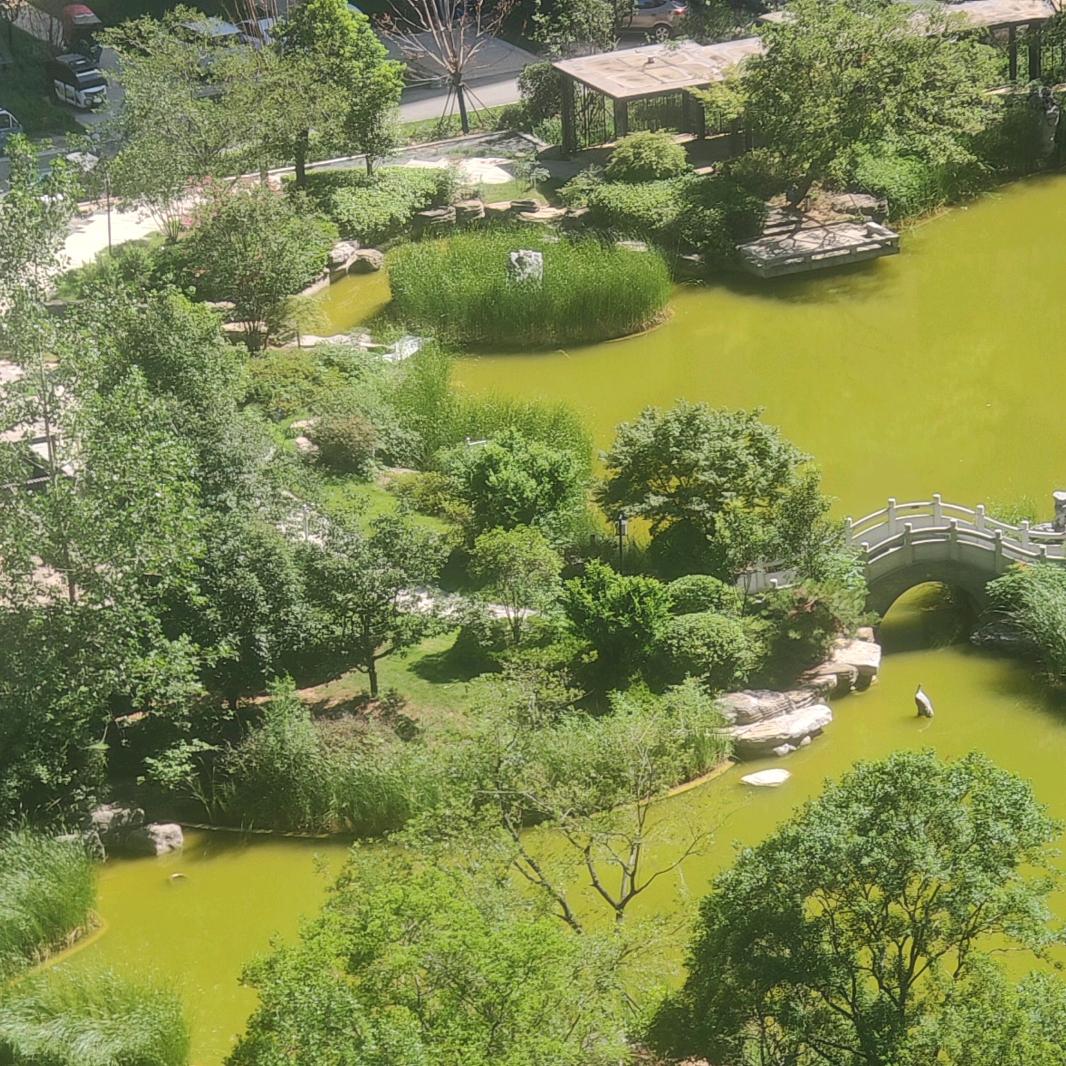 小李小李，暴富锦鲤。