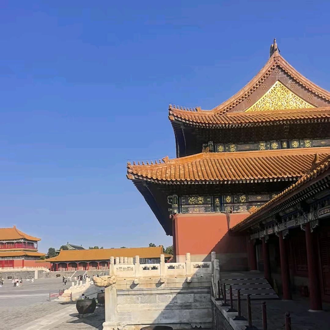 帅气鲨鱼