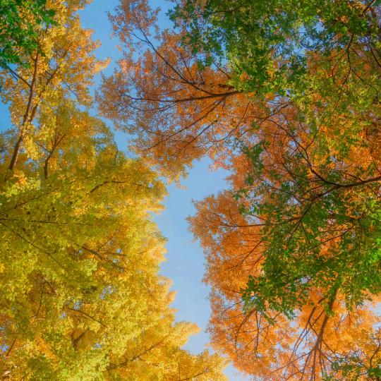 ಢ᭄乐悠流 -♡