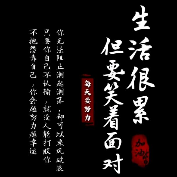 忐忑.动静哥🐶