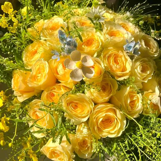 天天开心好心情