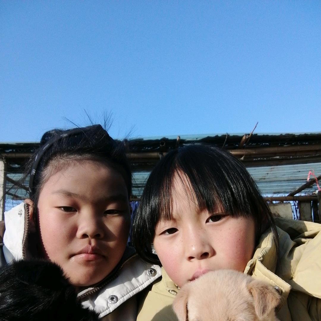 茉莉花。