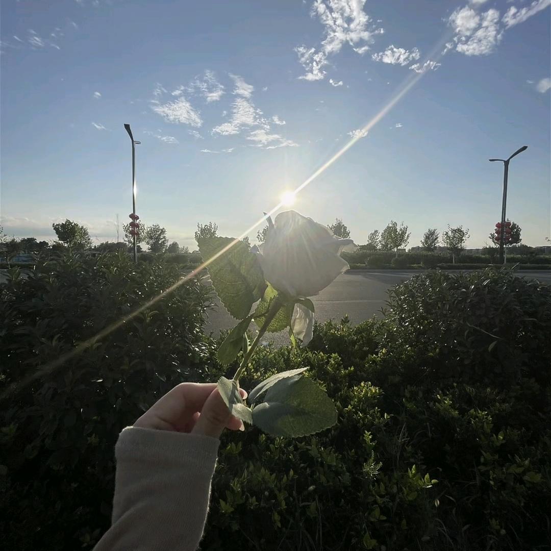 DLM—水晶珠帘