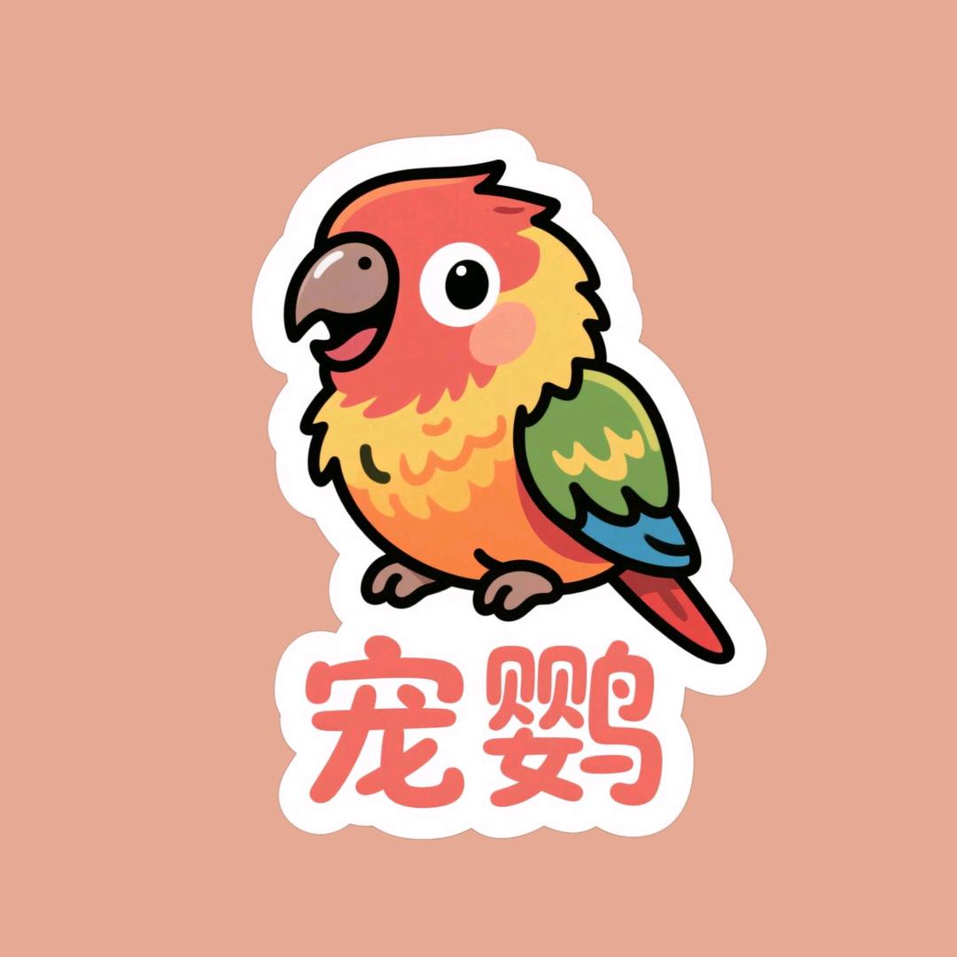 宠鹦自配鸟粮铺子