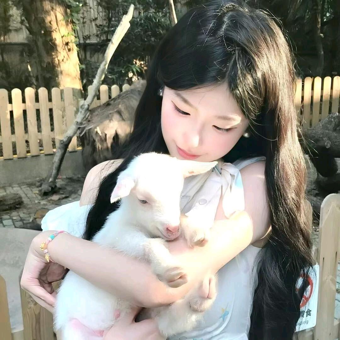 小羊羔