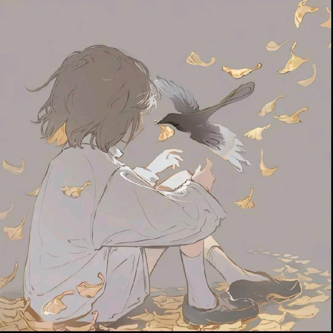 惹人爱的白菜