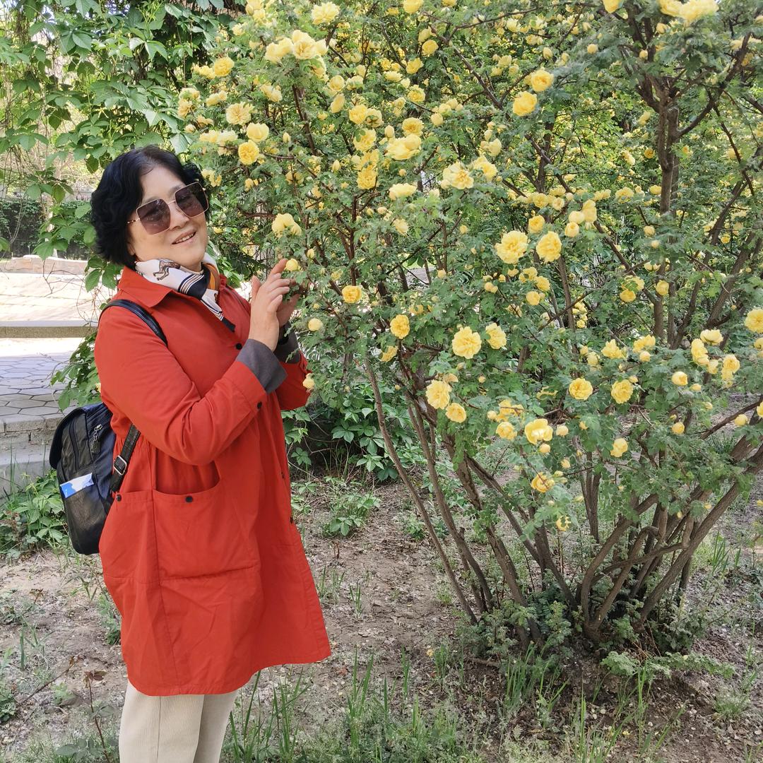 🐯⁰⁴.₀₂萍℘࿐