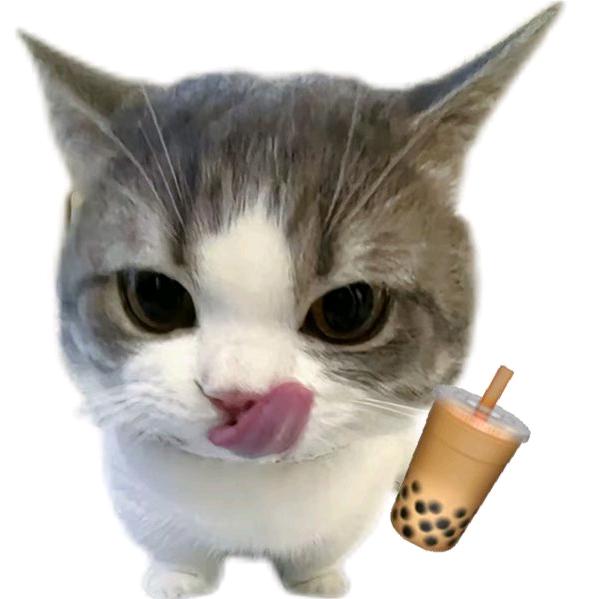 看到我叫我去学习