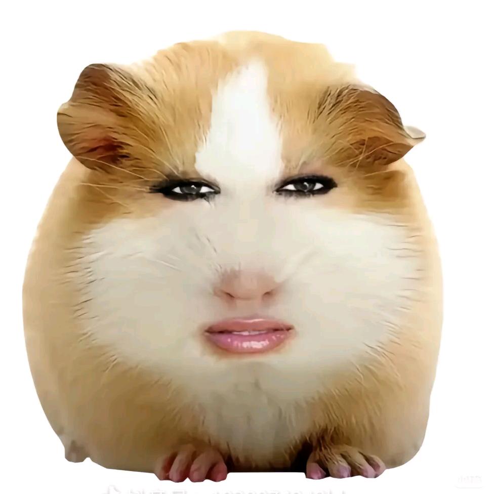 东北斤雨姐干完农活