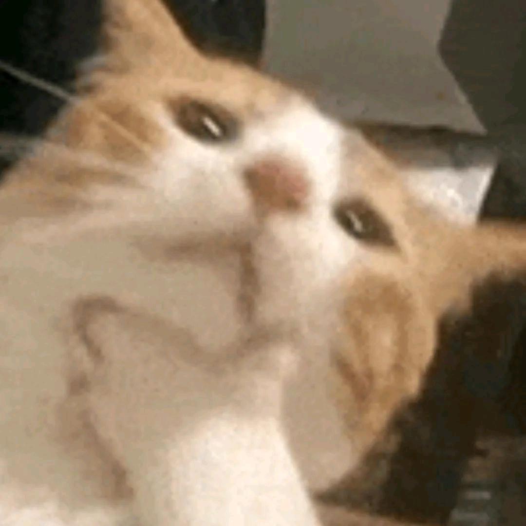 狸葡不吃梨