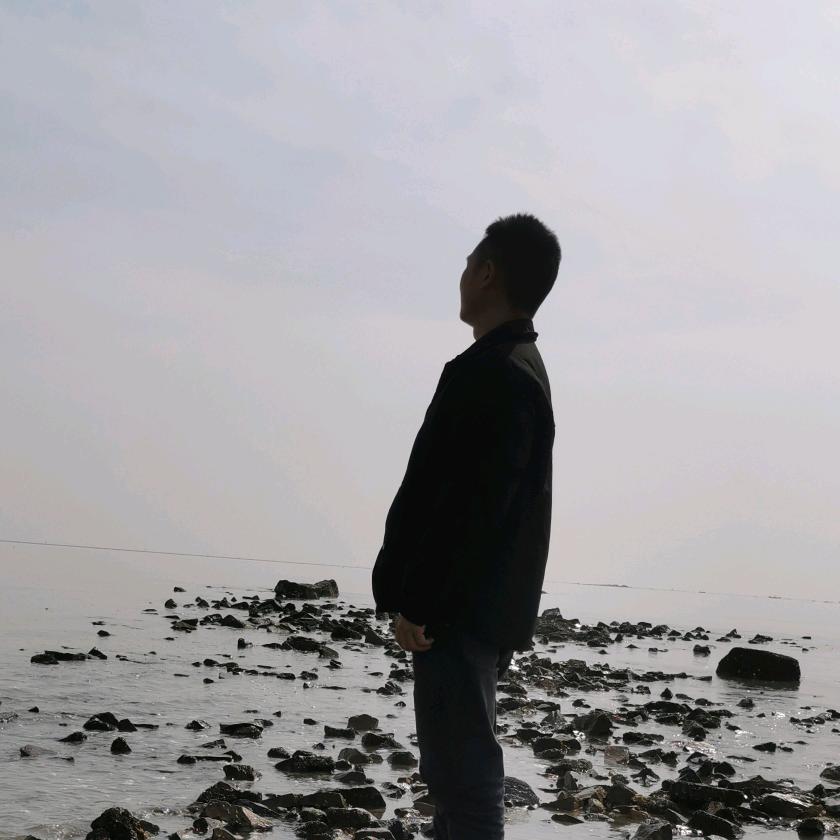 蚊子的右耳（家电批发零售）